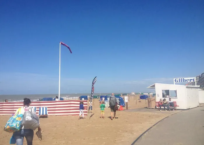 Appartement Dehaanaanzee *